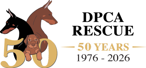 DPCA Rescue Logo